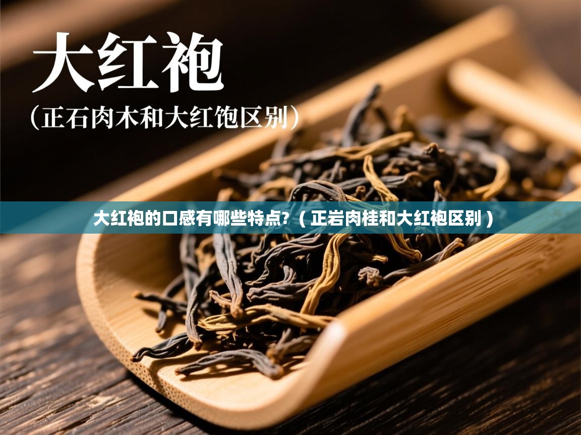  大红袍的口感有哪些特点?  ( 正岩肉桂和大红袍区别 )