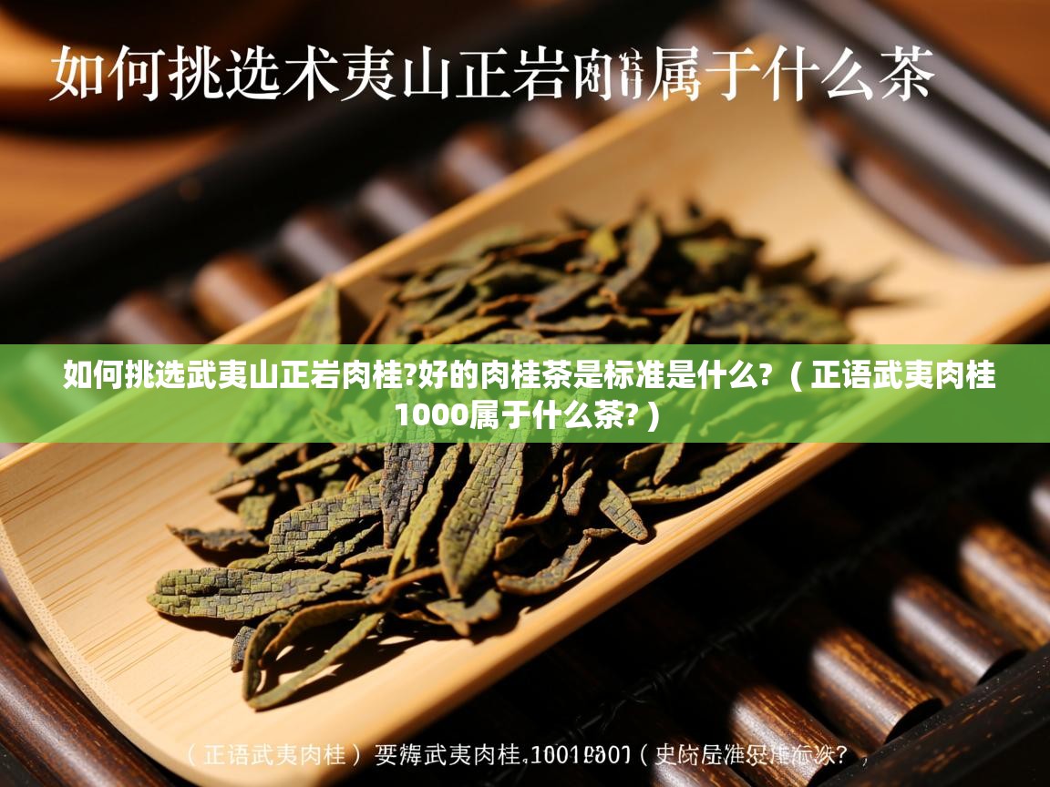 如何挑选武夷山正岩肉桂?好的肉桂茶是标准是什么?  ( 正语武夷肉桂1000属于什么茶? )  如何挑选武夷山正岩肉桂?好的肉桂茶是标准是什么?  ( 正语武夷肉桂1000属于什么茶? )