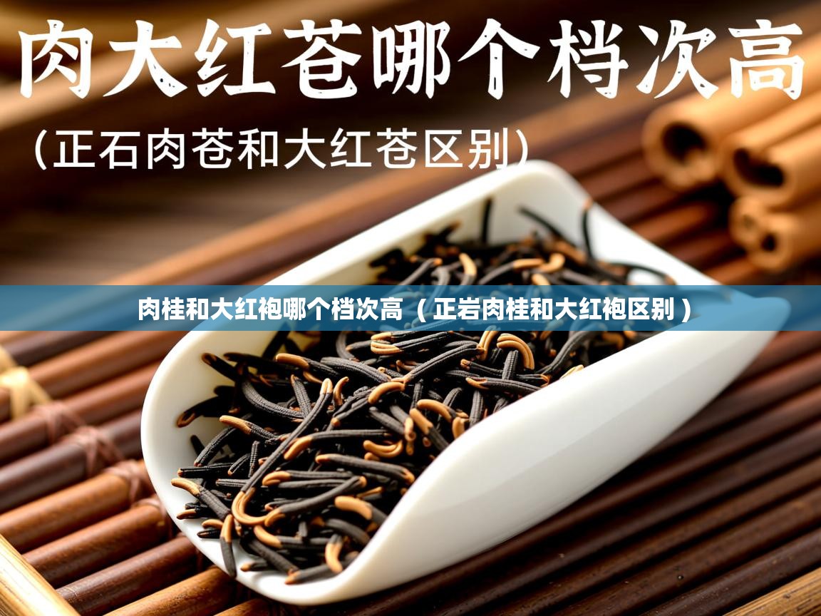  肉桂和大红袍哪个档次高  ( 正岩肉桂和大红袍区别 )