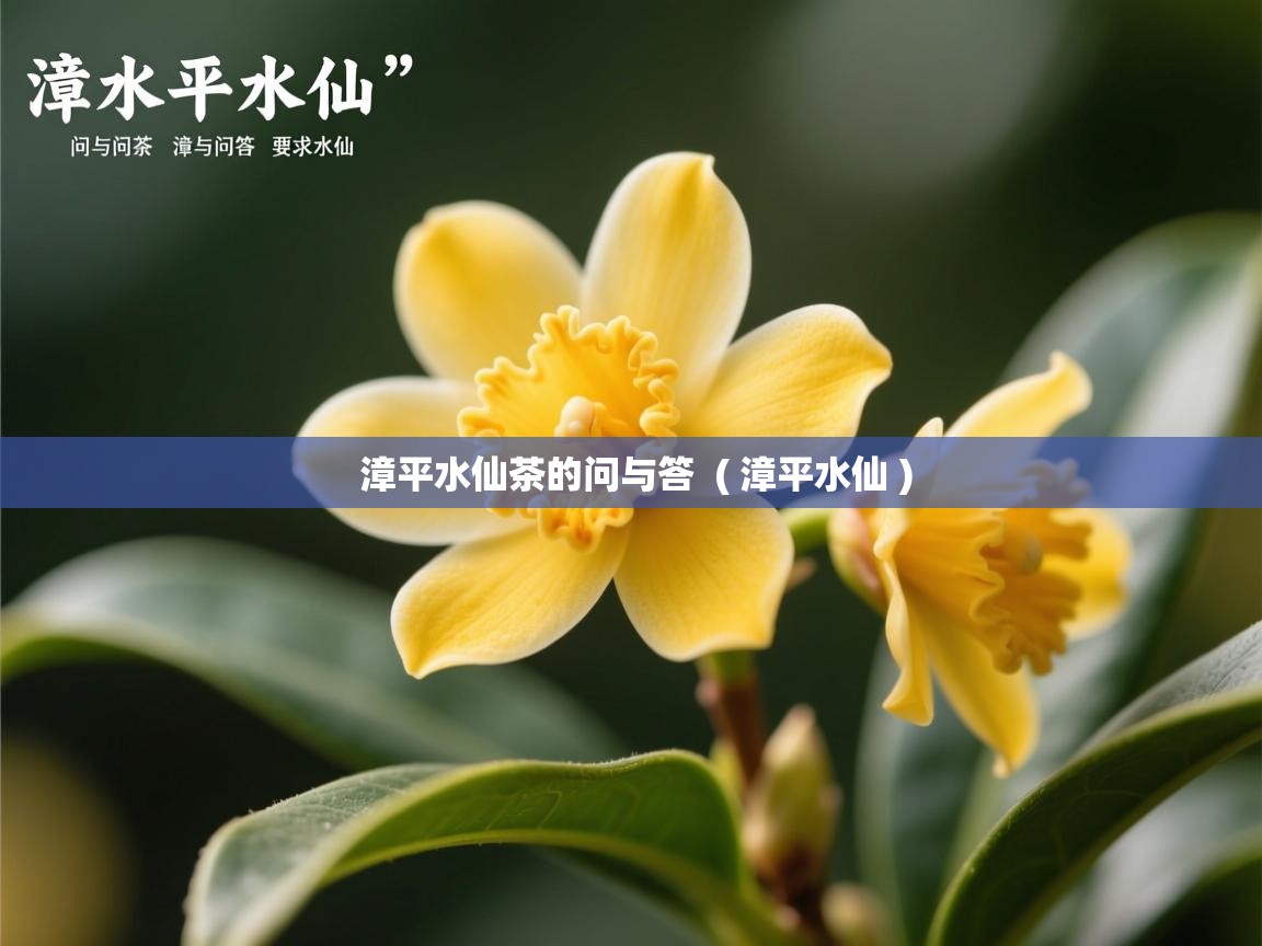 漳平水仙茶的问与答  ( 漳平水仙 )  漳平水仙茶的问与答  ( 漳平水仙 )