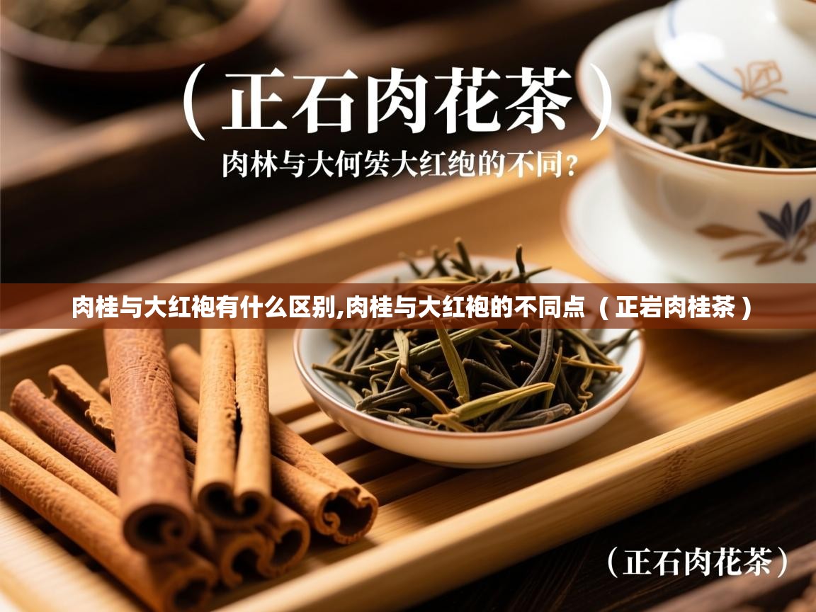 肉桂与大红袍有什么区别,肉桂与大红袍的不同点  ( 正岩肉桂茶 )  肉桂与大红袍有什么区别,肉桂与大红袍的不同点  ( 正岩肉桂茶 )
