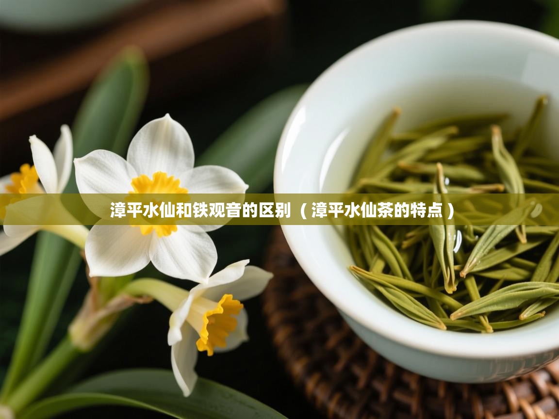 漳平水仙和铁观音的区别  ( 漳平水仙茶的特点 )  漳平水仙和铁观音的区别  ( 漳平水仙茶的特点 )