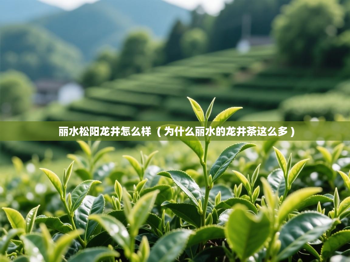 丽水松阳龙井怎么样  ( 为什么丽水的龙井茶这么多 )  丽水松阳龙井怎么样  ( 为什么丽水的龙井茶这么多 )