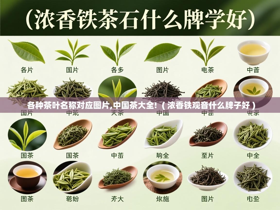各种茶叶名称对应图片,中国茶大全!  ( 浓香铁观音什么牌子好 )  各种茶叶名称对应图片,中国茶大全!  ( 浓香铁观音什么牌子好 )