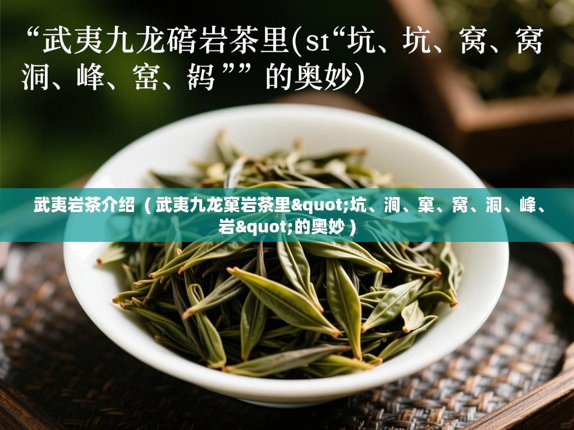 武夷岩茶介绍  ( 武夷九龙窠岩茶里"坑、涧、窠、窝、洞、峰、岩"的奥妙 )  武夷岩茶介绍  ( 武夷九龙窠岩茶里"坑、涧、窠、窝、洞、峰、岩"的奥妙 )