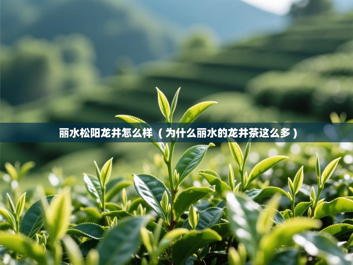 丽水松阳龙井怎么样  ( 为什么丽水的龙井茶这么多 )  丽水松阳龙井怎么样  ( 为什么丽水的龙井茶这么多 )