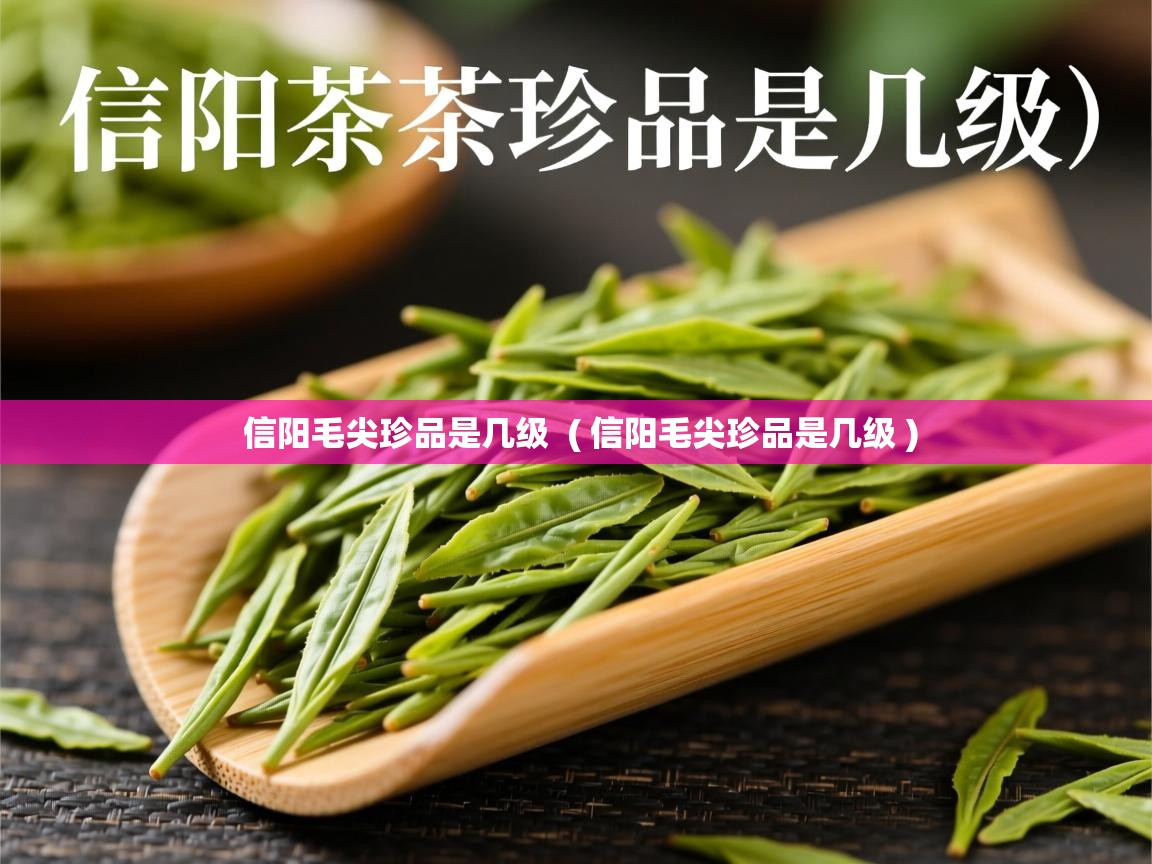 信阳毛尖珍品是几级  ( 信阳毛尖珍品是几级 )  信阳毛尖珍品是几级  ( 信阳毛尖珍品是几级 )