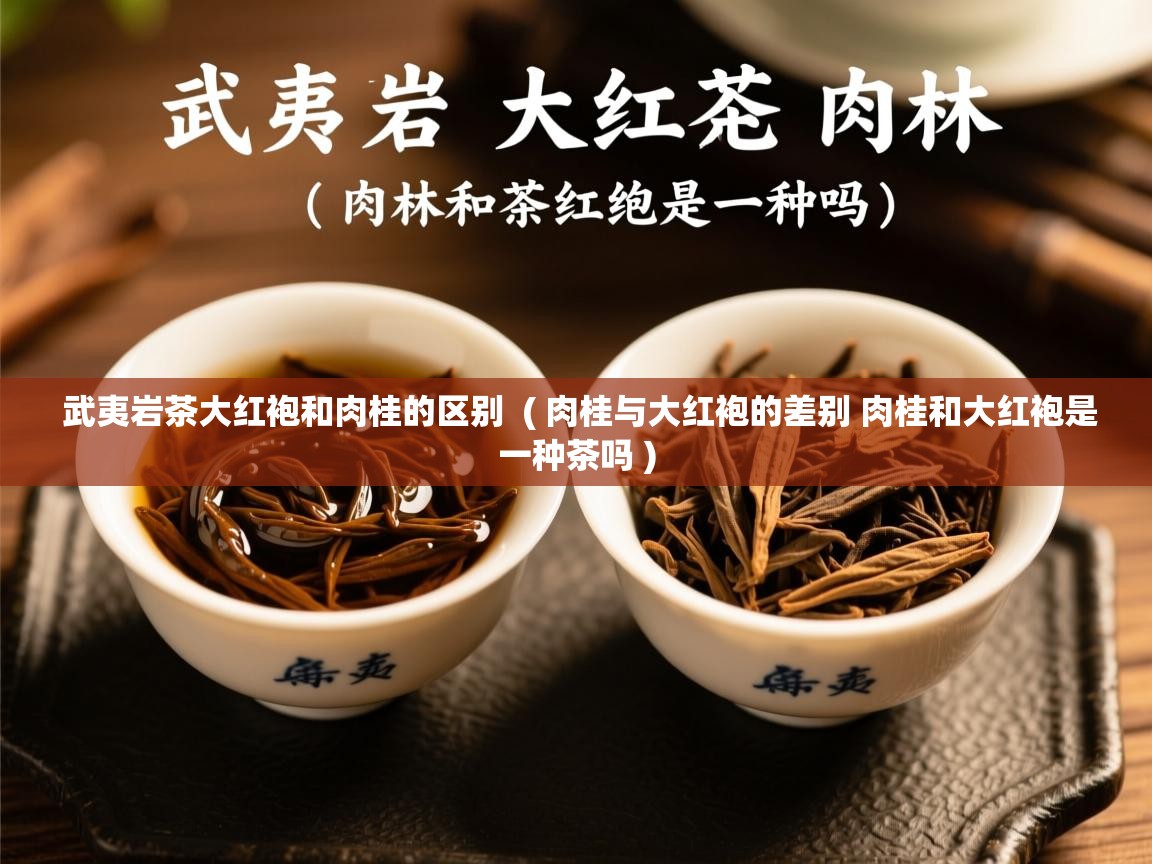 武夷岩茶大红袍和肉桂的区别  ( 肉桂与大红袍的差别 肉桂和大红袍是一种茶吗 )  武夷岩茶大红袍和肉桂的区别  ( 肉桂与大红袍的差别 肉桂和大红袍是一种茶吗 )