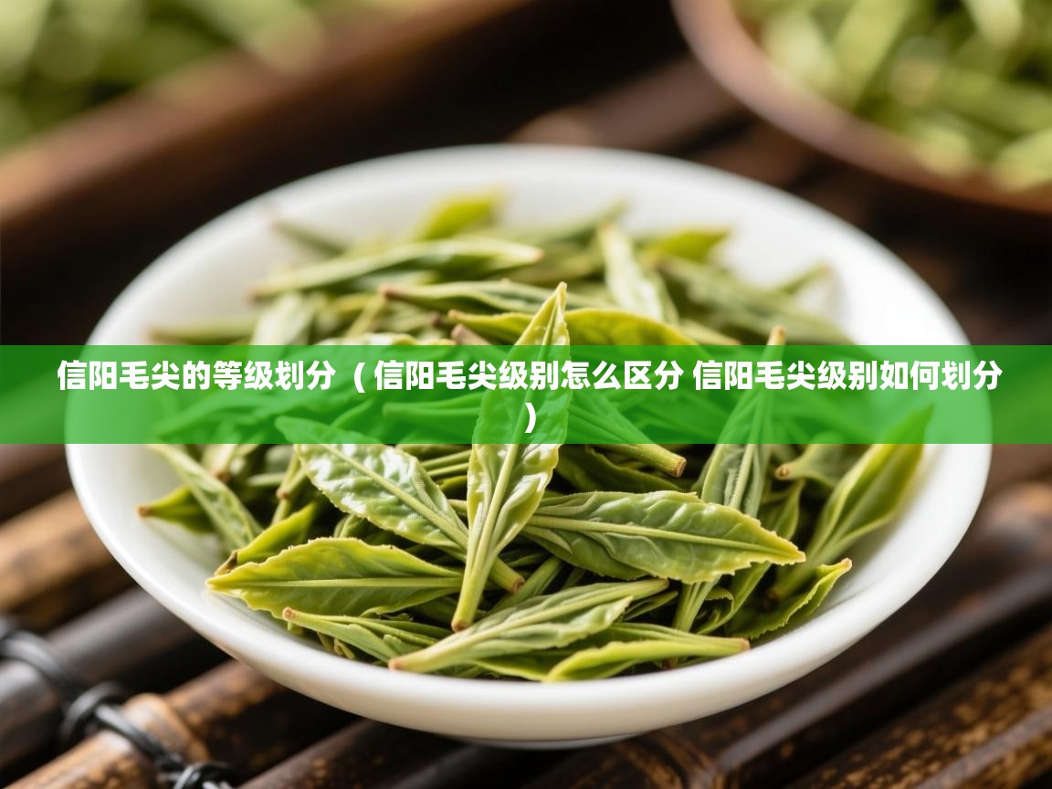 信阳毛尖的等级划分  ( 信阳毛尖级别怎么区分 信阳毛尖级别如何划分 )  信阳毛尖的等级划分  ( 信阳毛尖级别怎么区分 信阳毛尖级别如何划分 )