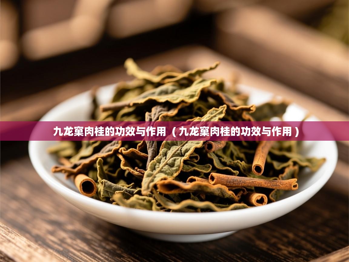 九龙窠肉桂的功效与作用  ( 九龙窠肉桂的功效与作用 )  九龙窠肉桂的功效与作用  ( 九龙窠肉桂的功效与作用 )