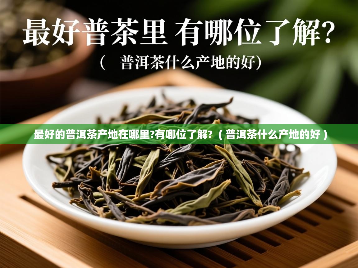 最好的普洱茶产地在哪里?有哪位了解?  ( 普洱茶什么产地的好 )  最好的普洱茶产地在哪里?有哪位了解?  ( 普洱茶什么产地的好 )