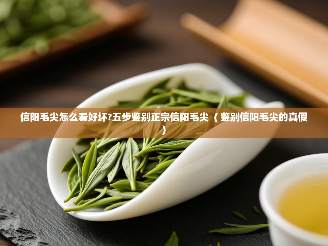信阳毛尖怎么看好坏?五步鉴别正宗信阳毛尖  ( 鉴别信阳毛尖的真假 )  信阳毛尖怎么看好坏?五步鉴别正宗信阳毛尖  ( 鉴别信阳毛尖的真假 )