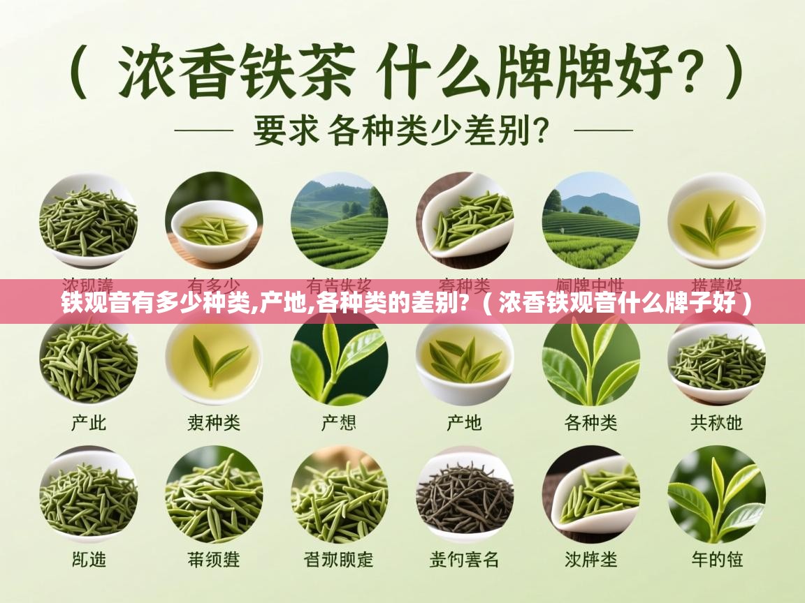 铁观音有多少种类,产地,各种类的差别?  ( 浓香铁观音什么牌子好 )  铁观音有多少种类,产地,各种类的差别?  ( 浓香铁观音什么牌子好 )