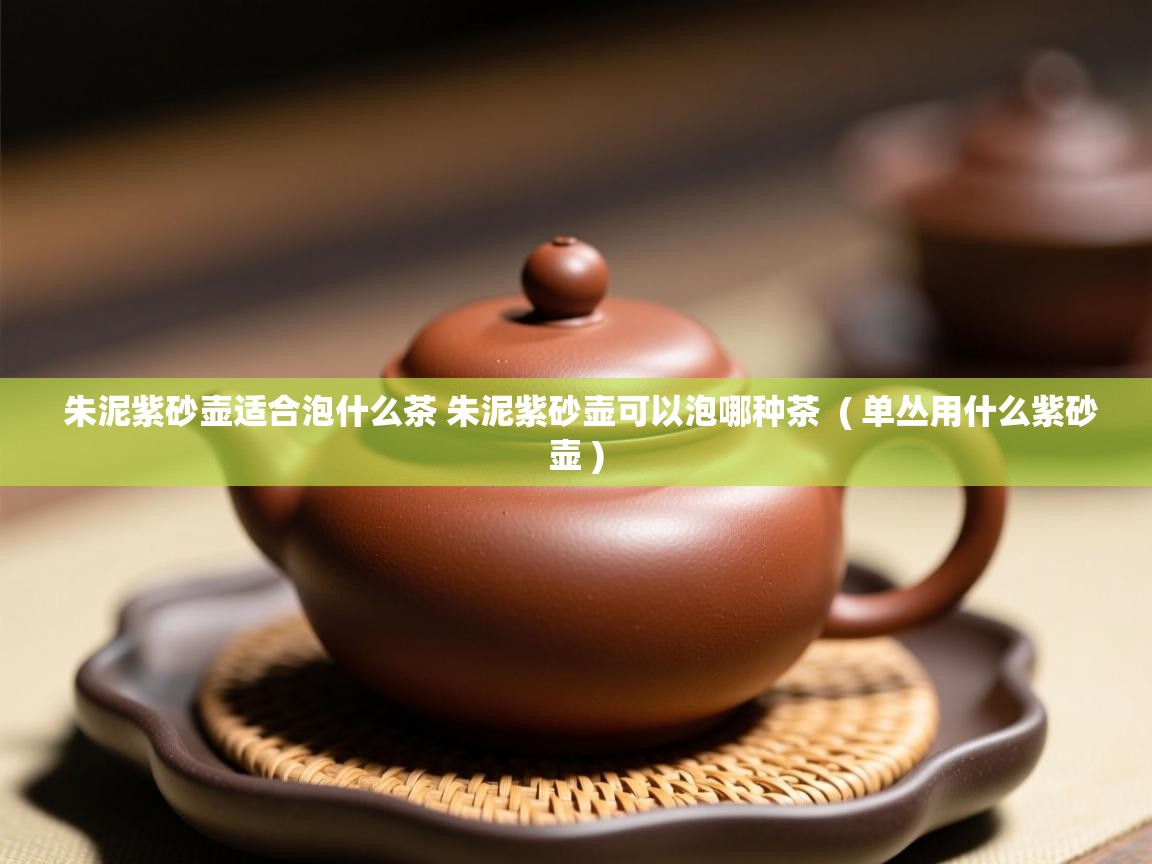 朱泥紫砂壶适合泡什么茶 朱泥紫砂壶可以泡哪种茶  ( 单丛用什么紫砂壶 )  朱泥紫砂壶适合泡什么茶 朱泥紫砂壶可以泡哪种茶  ( 单丛用什么紫砂壶 )