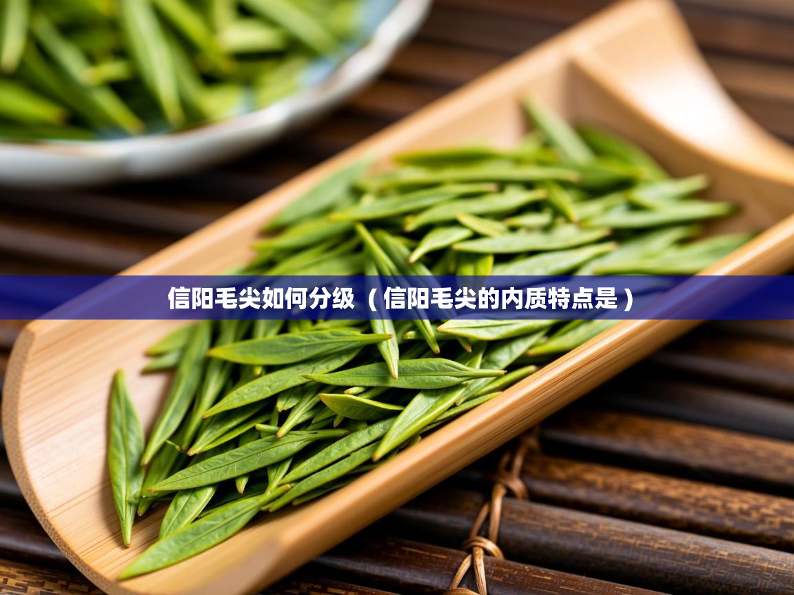 信阳毛尖如何分级  ( 信阳毛尖的内质特点是 )  信阳毛尖如何分级  ( 信阳毛尖的内质特点是 )