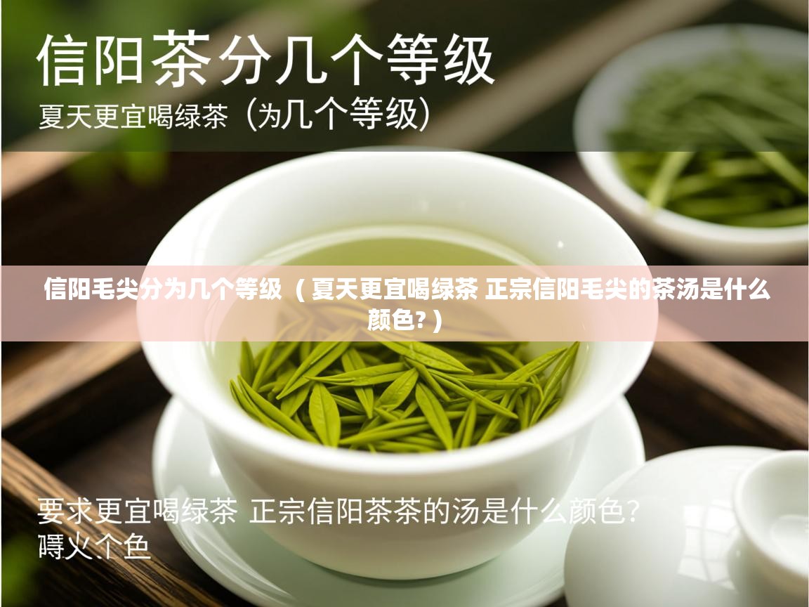 信阳毛尖分为几个等级  ( 夏天更宜喝绿茶 正宗信阳毛尖的茶汤是什么颜色? )  信阳毛尖分为几个等级  ( 夏天更宜喝绿茶 正宗信阳毛尖的茶汤是什么颜色? )