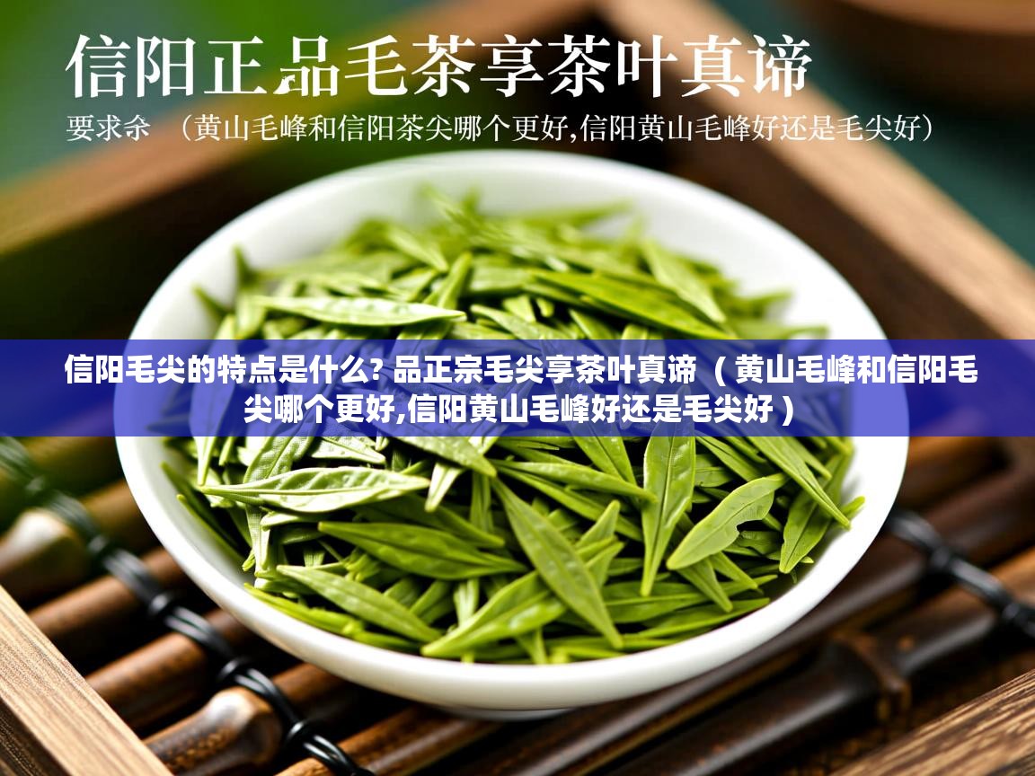 信阳毛尖的特点是什么? 品正宗毛尖享茶叶真谛  ( 黄山毛峰和信阳毛尖哪个更好,信阳黄山毛峰好还是毛尖好 )  信阳毛尖的特点是什么? 品正宗毛尖享茶叶真谛  ( 黄山毛峰和信阳毛尖哪个更好,信阳黄山毛峰好还是毛尖好 )
