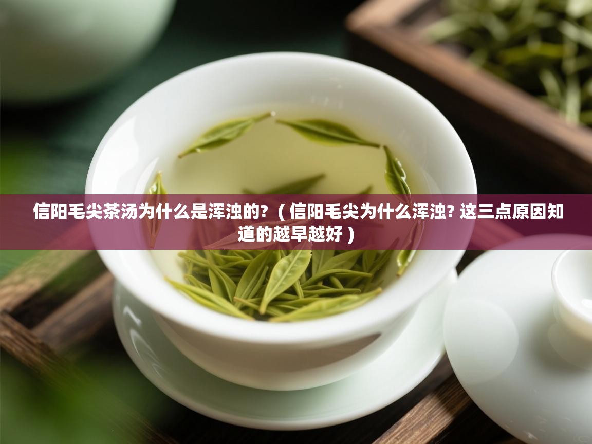  信阳毛尖茶汤为什么是浑浊的?  ( 信阳毛尖为什么浑浊? 这三点原因知道的越早越好 )