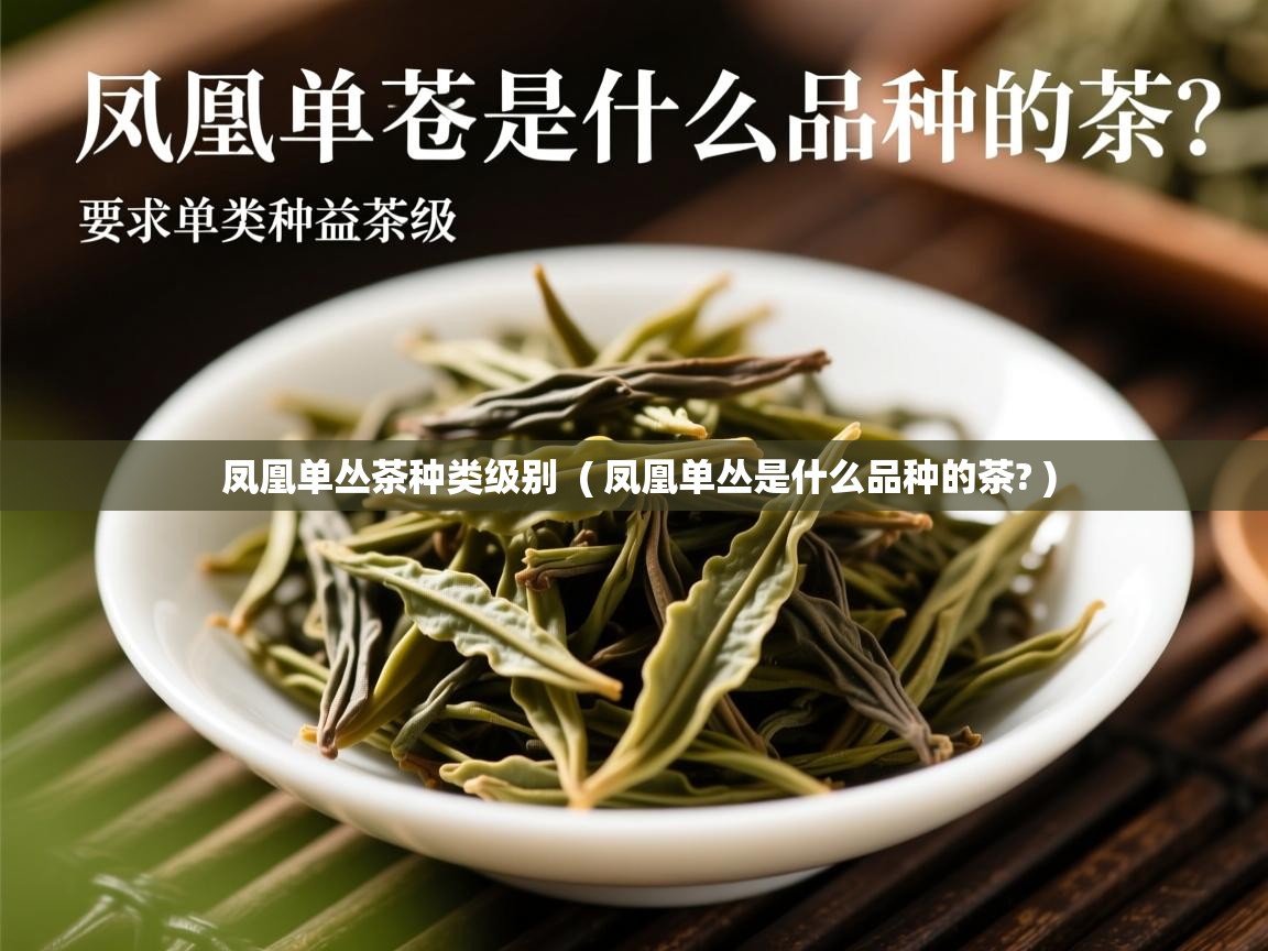 凤凰单丛茶种类级别  ( 凤凰单丛是什么品种的茶? )  凤凰单丛茶种类级别  ( 凤凰单丛是什么品种的茶? )