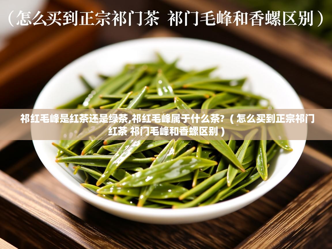  祁红毛峰是红茶还是绿茶,祁红毛峰属于什么茶?  ( 怎么买到正宗祁门红茶 祁门毛峰和香螺区别 )