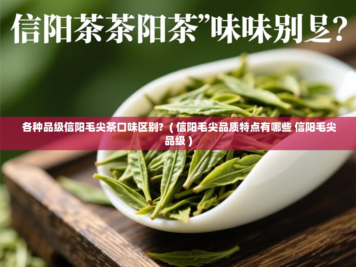 各种品级信阳毛尖茶口味区别?  ( 信阳毛尖品质特点有哪些 信阳毛尖品级 )  各种品级信阳毛尖茶口味区别?  ( 信阳毛尖品质特点有哪些 信阳毛尖品级 )