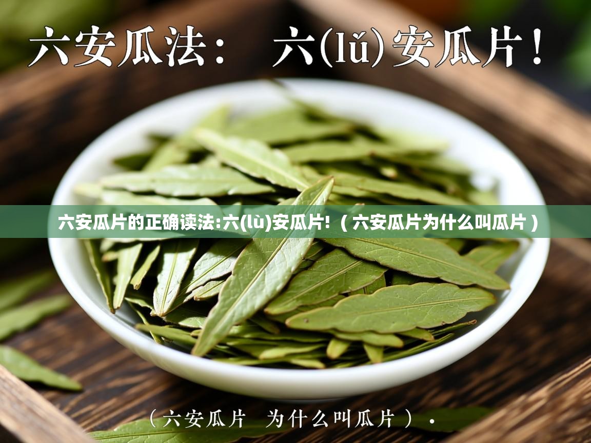 六安瓜片的正确读法:六(lù)安瓜片!  ( 六安瓜片为什么叫瓜片 )  六安瓜片的正确读法:六(lù)安瓜片!  ( 六安瓜片为什么叫瓜片 )