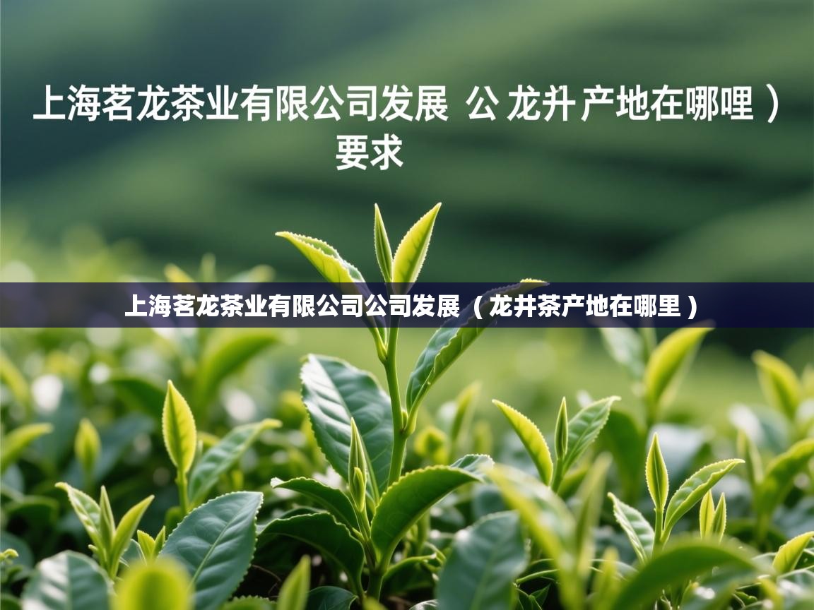 上海茗龙茶业有限公司公司发展  ( 龙井茶产地在哪里 )  上海茗龙茶业有限公司公司发展  ( 龙井茶产地在哪里 )