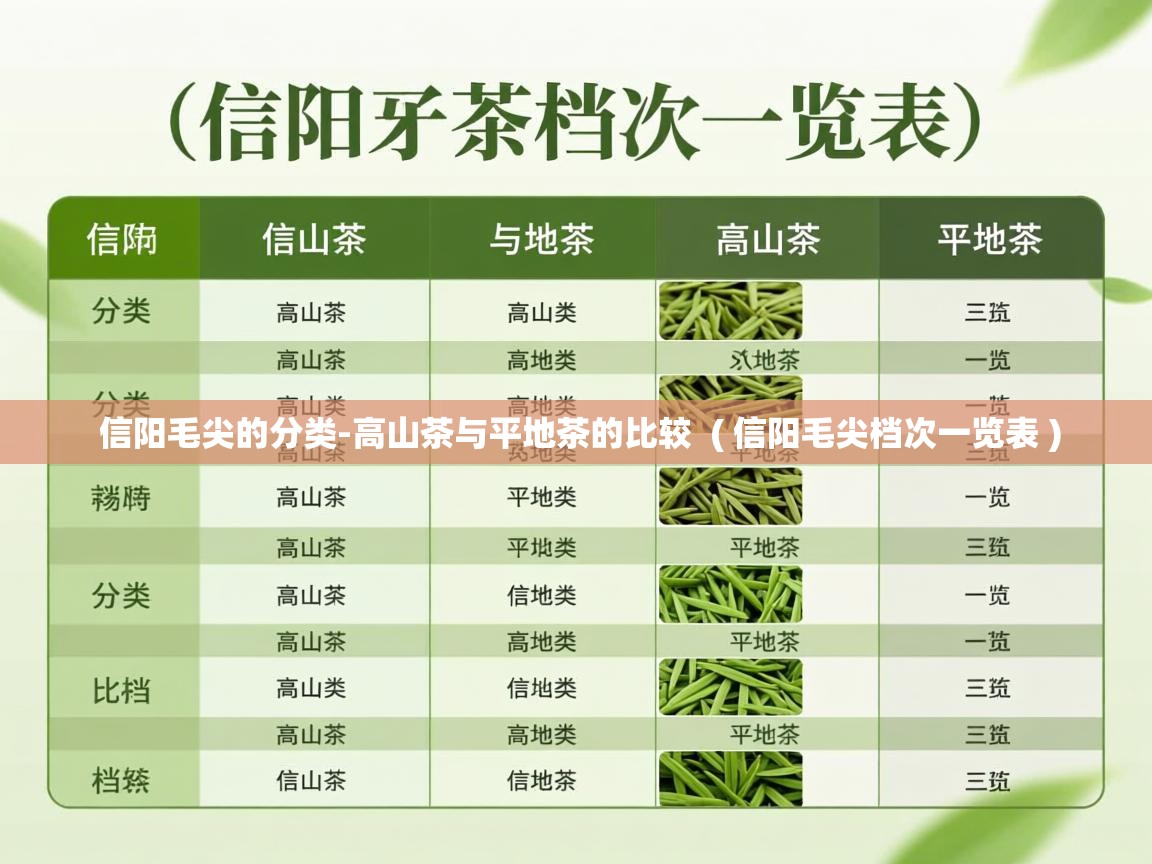 信阳毛尖的分类-高山茶与平地茶的比较  ( 信阳毛尖档次一览表 )  信阳毛尖的分类-高山茶与平地茶的比较  ( 信阳毛尖档次一览表 )