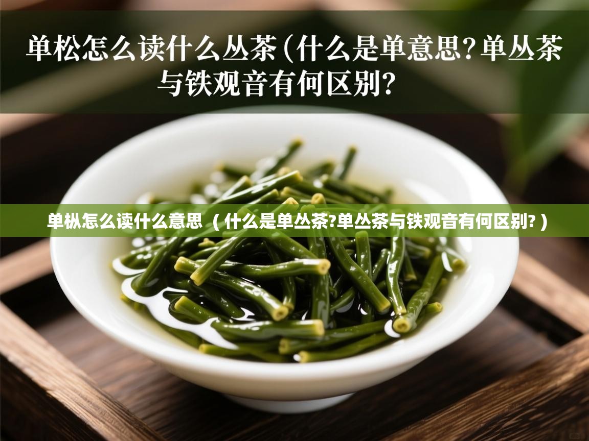 单枞怎么读什么意思  ( 什么是单丛茶?单丛茶与铁观音有何区别? )  单枞怎么读什么意思  ( 什么是单丛茶?单丛茶与铁观音有何区别? )