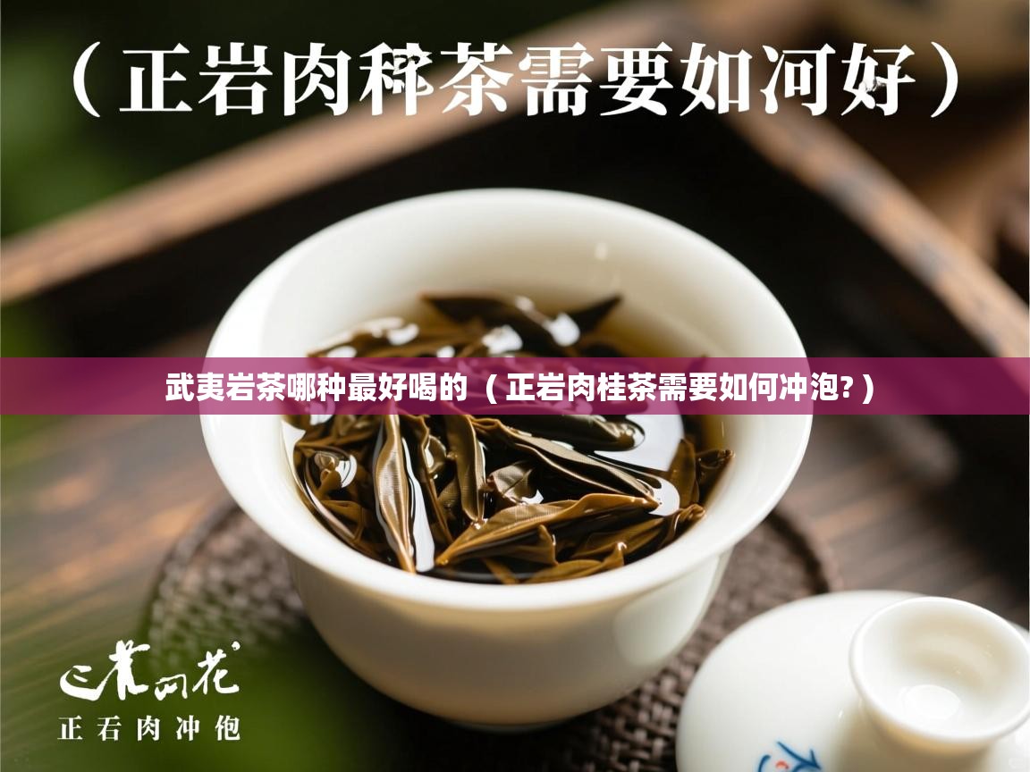 武夷岩茶哪种最好喝的  ( 正岩肉桂茶需要如何冲泡? )  武夷岩茶哪种最好喝的  ( 正岩肉桂茶需要如何冲泡? )