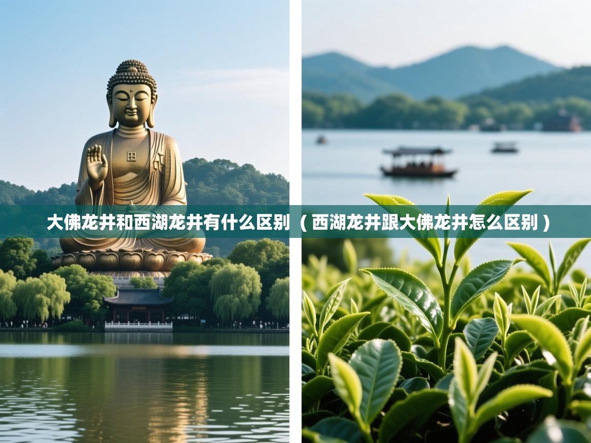 大佛龙井和西湖龙井有什么区别  ( 西湖龙井跟大佛龙井怎么区别 )  大佛龙井和西湖龙井有什么区别  ( 西湖龙井跟大佛龙井怎么区别 )