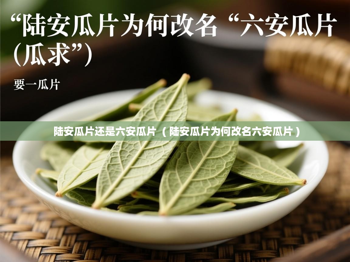 陆安瓜片还是六安瓜片  ( 陆安瓜片为何改名六安瓜片 )  陆安瓜片还是六安瓜片  ( 陆安瓜片为何改名六安瓜片 )