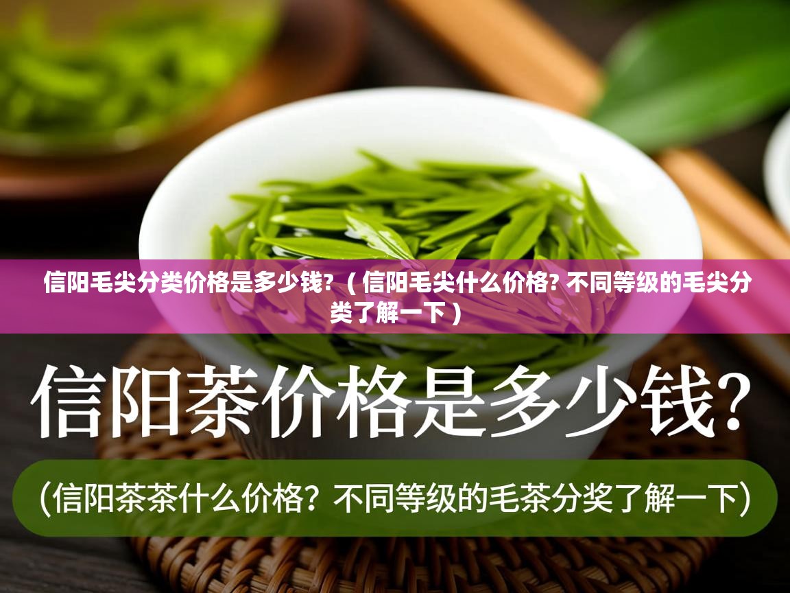信阳毛尖分类价格是多少钱?  ( 信阳毛尖什么价格? 不同等级的毛尖分类了解一下 )  信阳毛尖分类价格是多少钱?  ( 信阳毛尖什么价格? 不同等级的毛尖分类了解一下 )