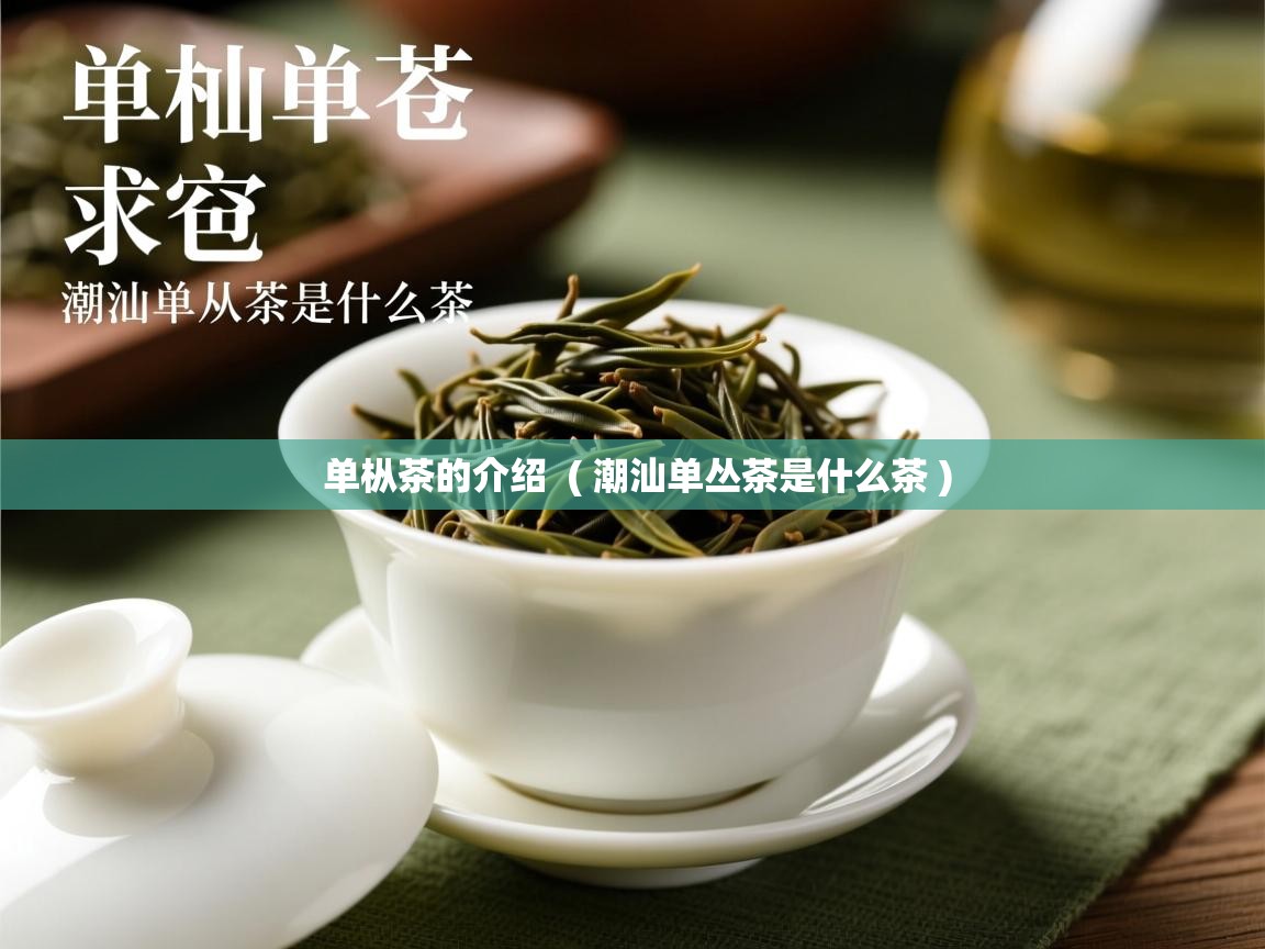 单枞茶的介绍  ( 潮汕单丛茶是什么茶 )  单枞茶的介绍  ( 潮汕单丛茶是什么茶 )