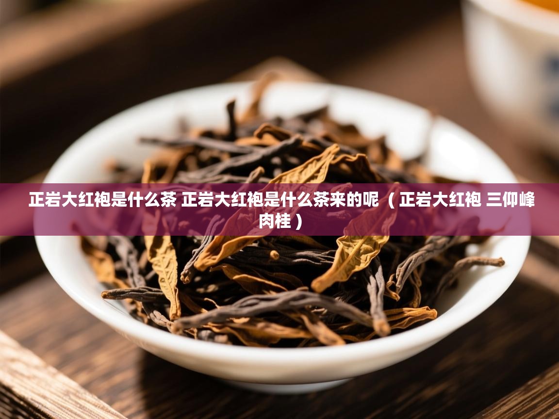 正岩大红袍是什么茶 正岩大红袍是什么茶来的呢  ( 正岩大红袍 三仰峰肉桂 )  正岩大红袍是什么茶 正岩大红袍是什么茶来的呢  ( 正岩大红袍 三仰峰肉桂 )