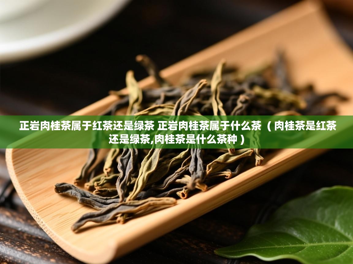 正岩肉桂茶属于红茶还是绿茶 正岩肉桂茶属于什么茶  ( 肉桂茶是红茶还是绿茶,肉桂茶是什么茶种 )  正岩肉桂茶属于红茶还是绿茶 正岩肉桂茶属于什么茶  ( 肉桂茶是红茶还是绿茶,肉桂茶是什么茶种 )