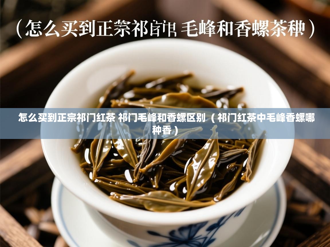 怎么买到正宗祁门红茶 祁门毛峰和香螺区别  ( 祁门红茶中毛峰香螺哪种香 )  怎么买到正宗祁门红茶 祁门毛峰和香螺区别  ( 祁门红茶中毛峰香螺哪种香 )
