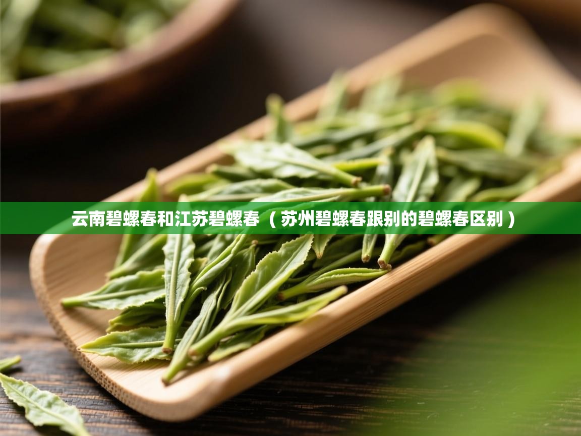 云南碧螺春和江苏碧螺春  ( 苏州碧螺春跟别的碧螺春区别 )  云南碧螺春和江苏碧螺春  ( 苏州碧螺春跟别的碧螺春区别 )
