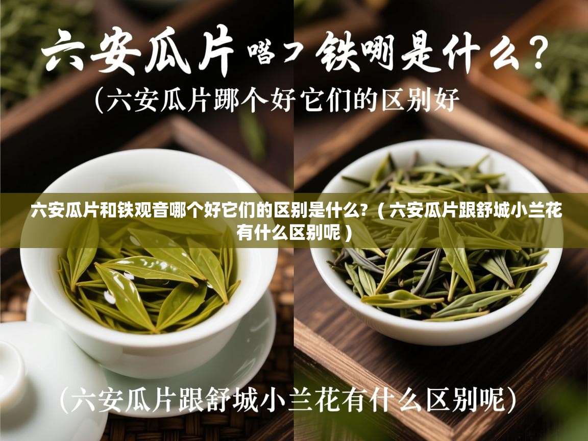 六安瓜片和铁观音哪个好它们的区别是什么?  ( 六安瓜片跟舒城小兰花有什么区别呢 )