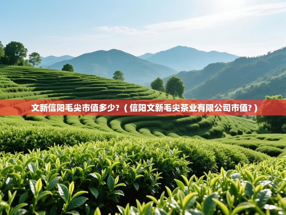  文新信阳毛尖市值多少?  ( 信阳文新毛尖茶业有限公司市值? )
