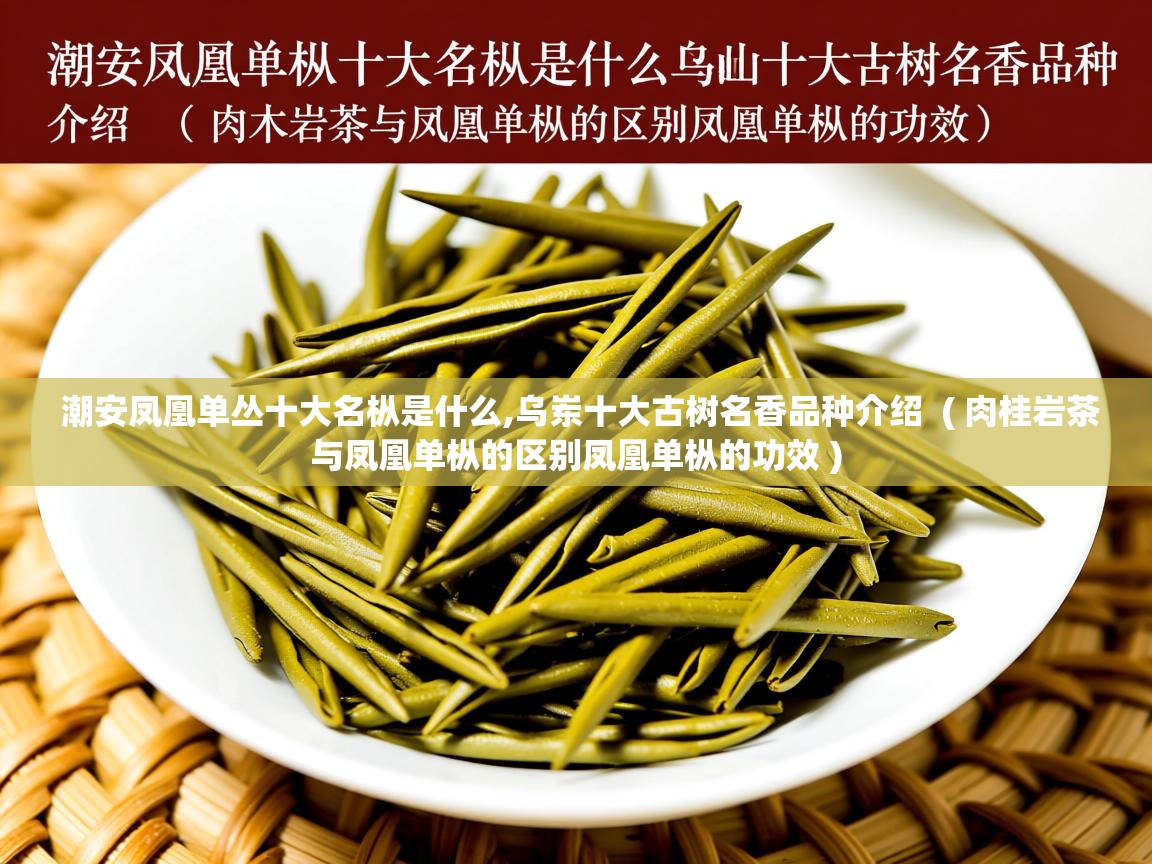  潮安凤凰单丛十大名枞是什么,乌岽十大古树名香品种介绍  ( 肉桂岩茶与凤凰单枞的区别凤凰单枞的功效 )