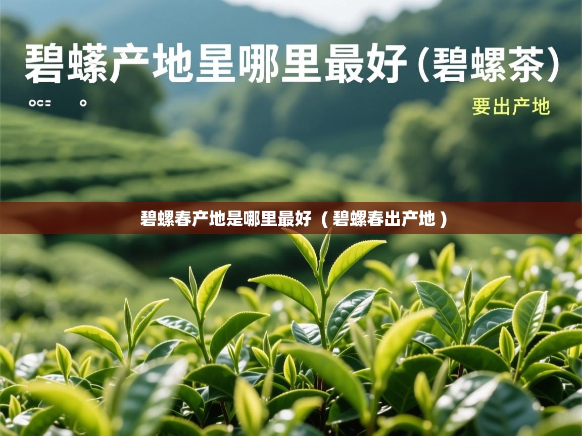碧螺春产地是哪里最好  ( 碧螺春出产地 )  碧螺春产地是哪里最好  ( 碧螺春出产地 )