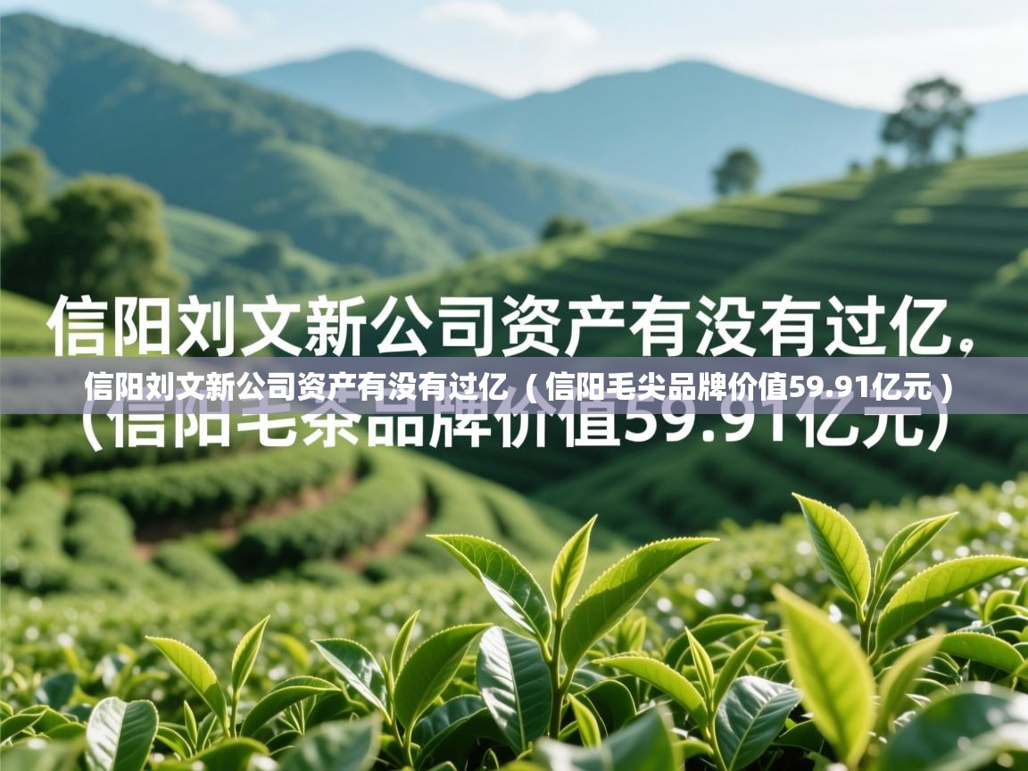  信阳刘文新公司资产有没有过亿  ( 信阳毛尖品牌价值59.91亿元 )