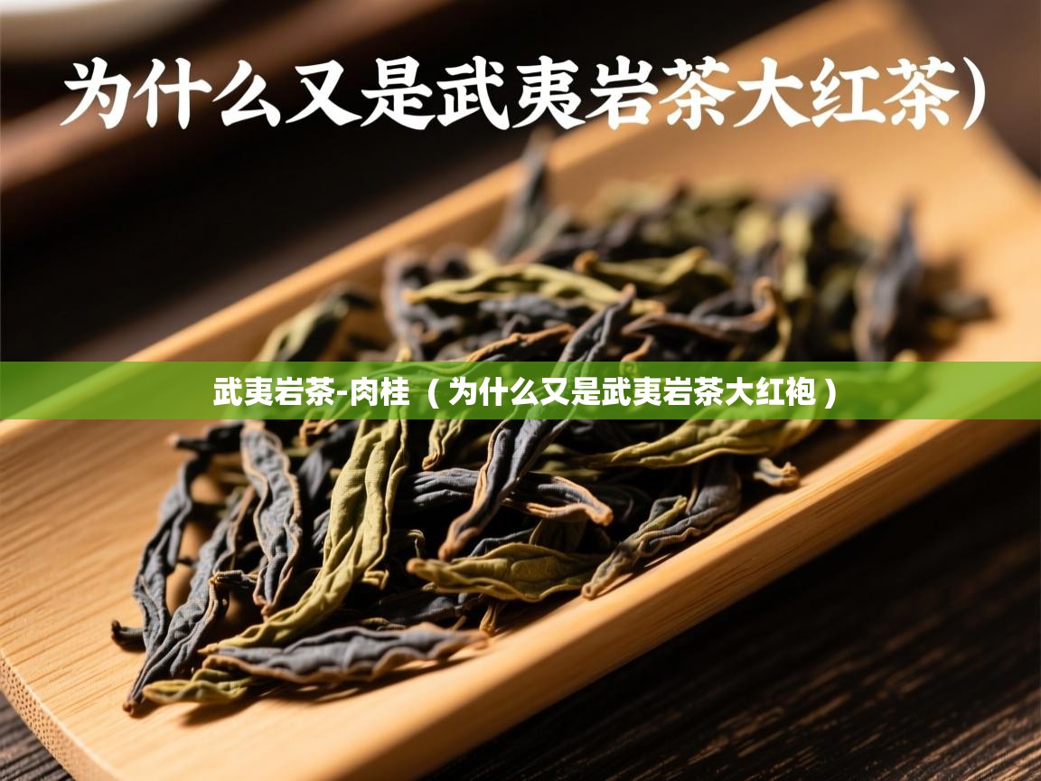  武夷岩茶-肉桂  ( 为什么又是武夷岩茶大红袍 )