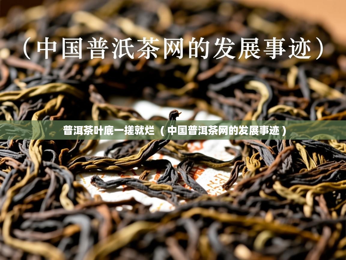 普洱茶叶底一搓就烂  ( 中国普洱茶网的发展事迹 )  普洱茶叶底一搓就烂  ( 中国普洱茶网的发展事迹 )