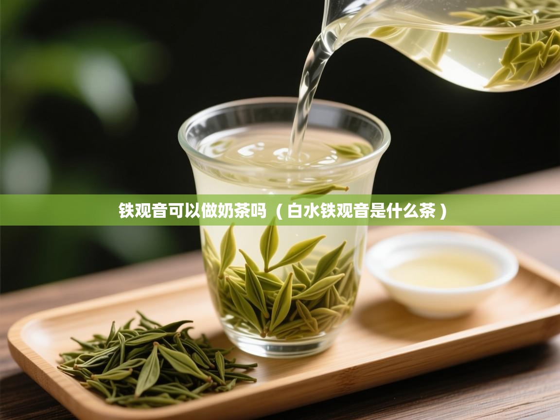 铁观音可以做奶茶吗  ( 白水铁观音是什么茶 )  铁观音可以做奶茶吗  ( 白水铁观音是什么茶 )