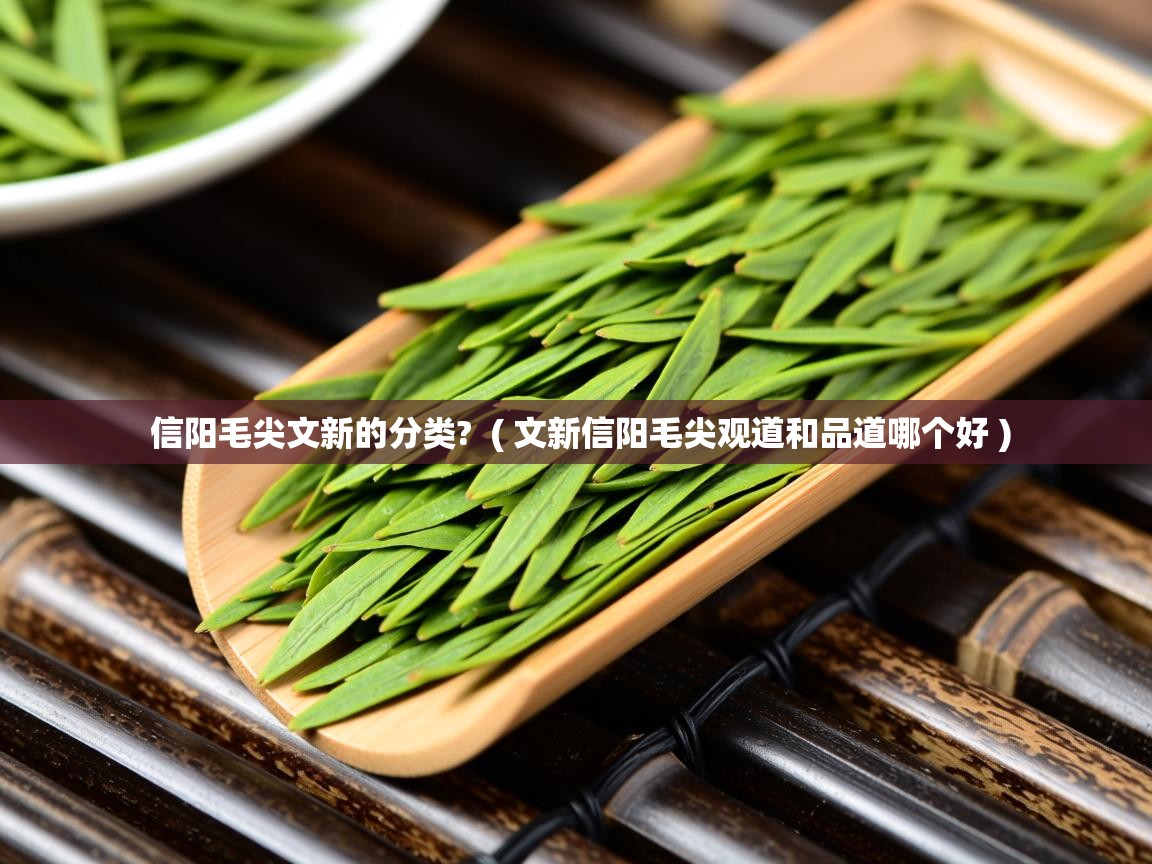  信阳毛尖文新的分类?  ( 文新信阳毛尖观道和品道哪个好 )