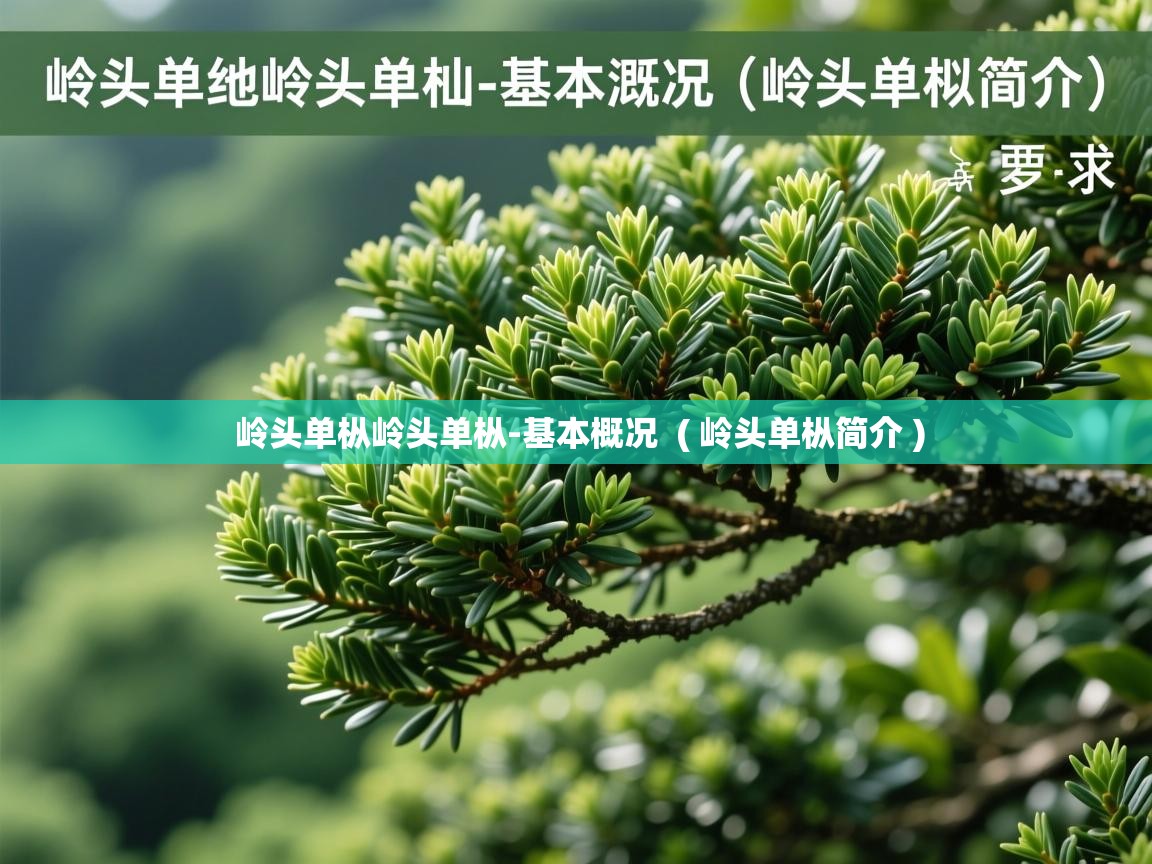 岭头单枞岭头单枞-基本概况  ( 岭头单枞简介 )  岭头单枞岭头单枞-基本概况  ( 岭头单枞简介 )