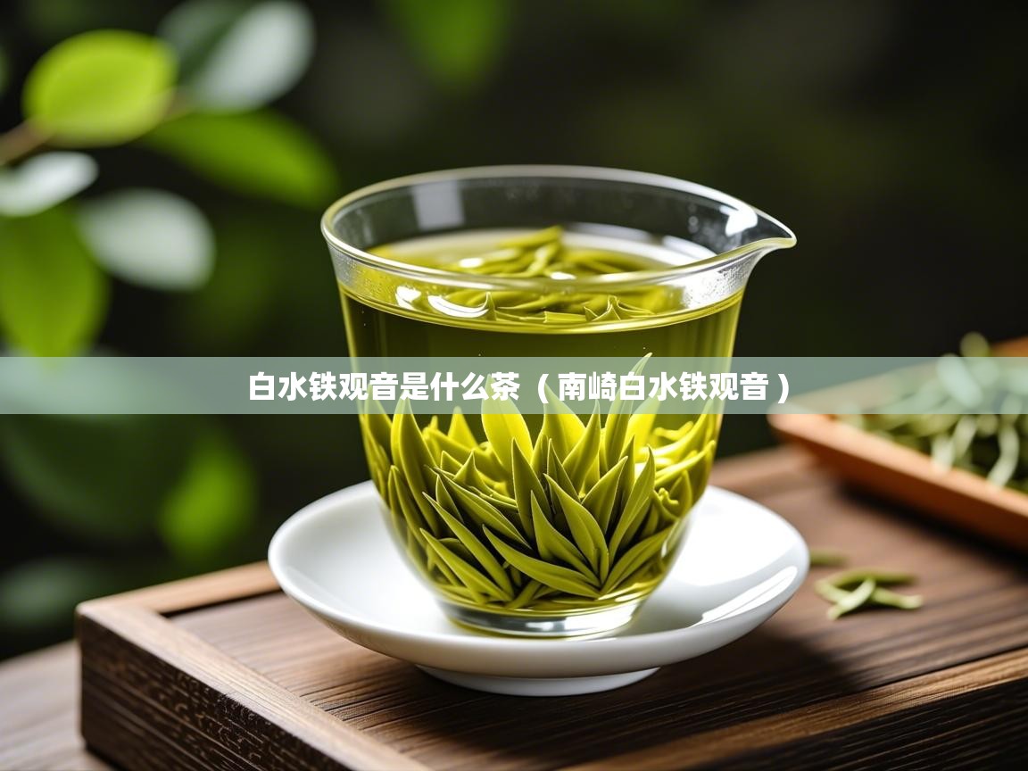 白水铁观音是什么茶  ( 南崎白水铁观音 )  白水铁观音是什么茶  ( 南崎白水铁观音 )
