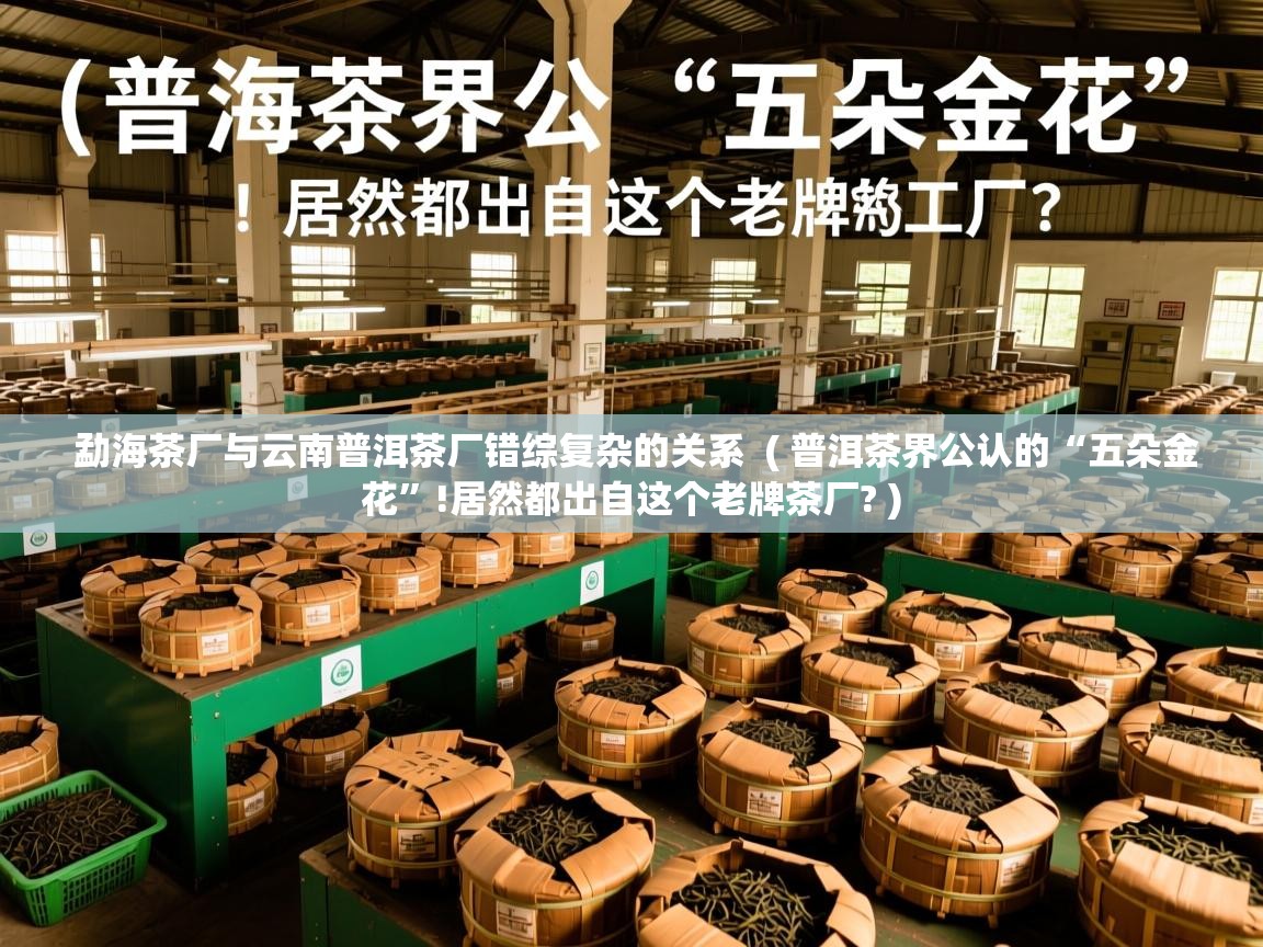  勐海茶厂与云南普洱茶厂错综复杂的关系  ( 普洱茶界公认的“五朵金花”!居然都出自这个老牌茶厂? )